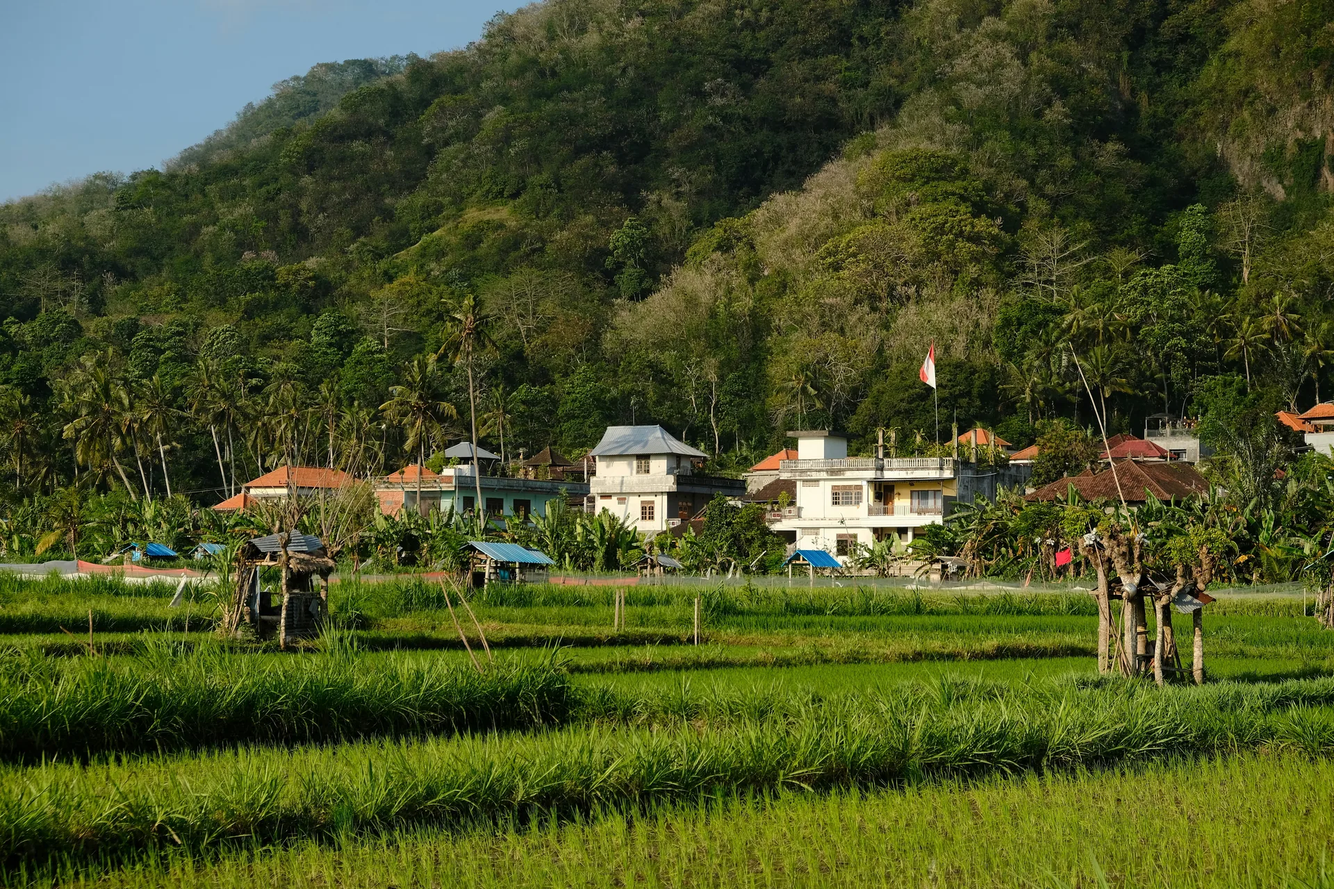 Kelurahan Benteng